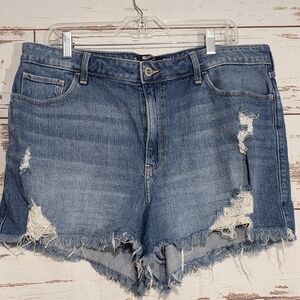 Hollister Blue Distressed Denim Shorts